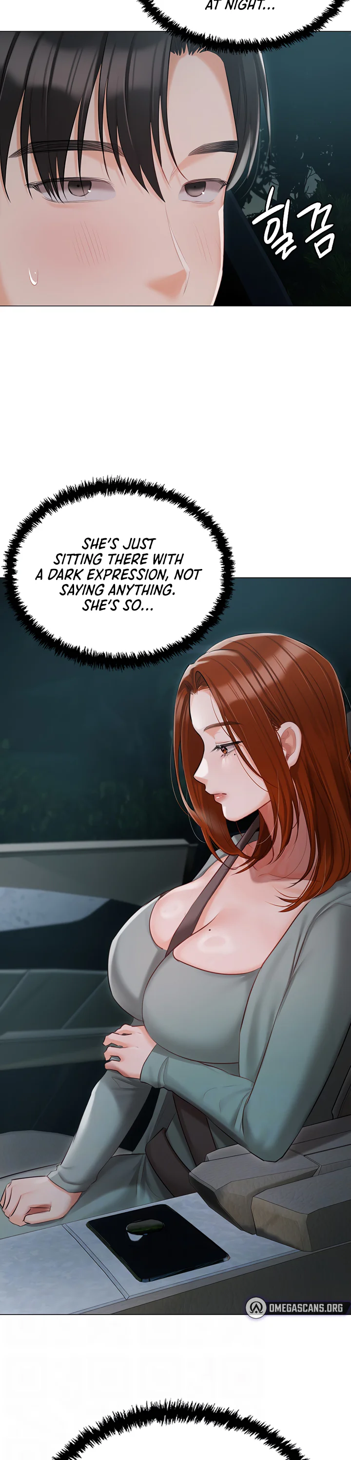 Hyeonjungs Residence Chapter 49 page 11