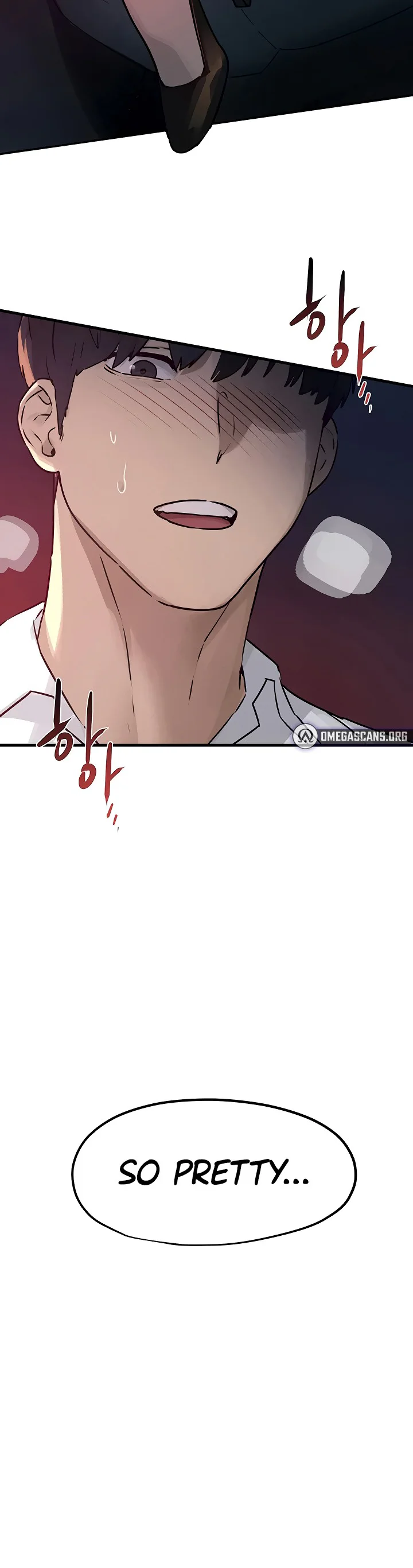 Moby Dick Chapter 78 page 3